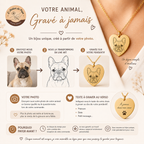 Votre compagnon, toujours près de vous ❤️